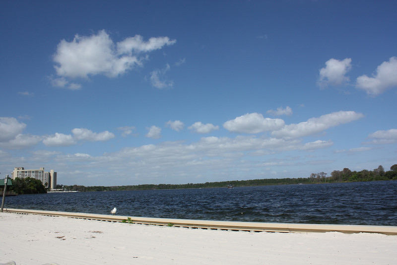 1211870458_wtzBU-L.jpg