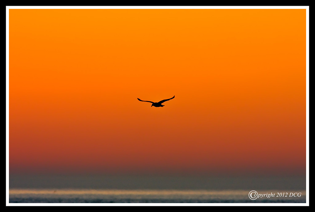 Sunrise-03-22-03cr-XL.jpg