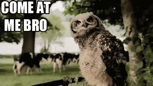 tumblr_lkj3shymPl1qh6iago1_500.gif