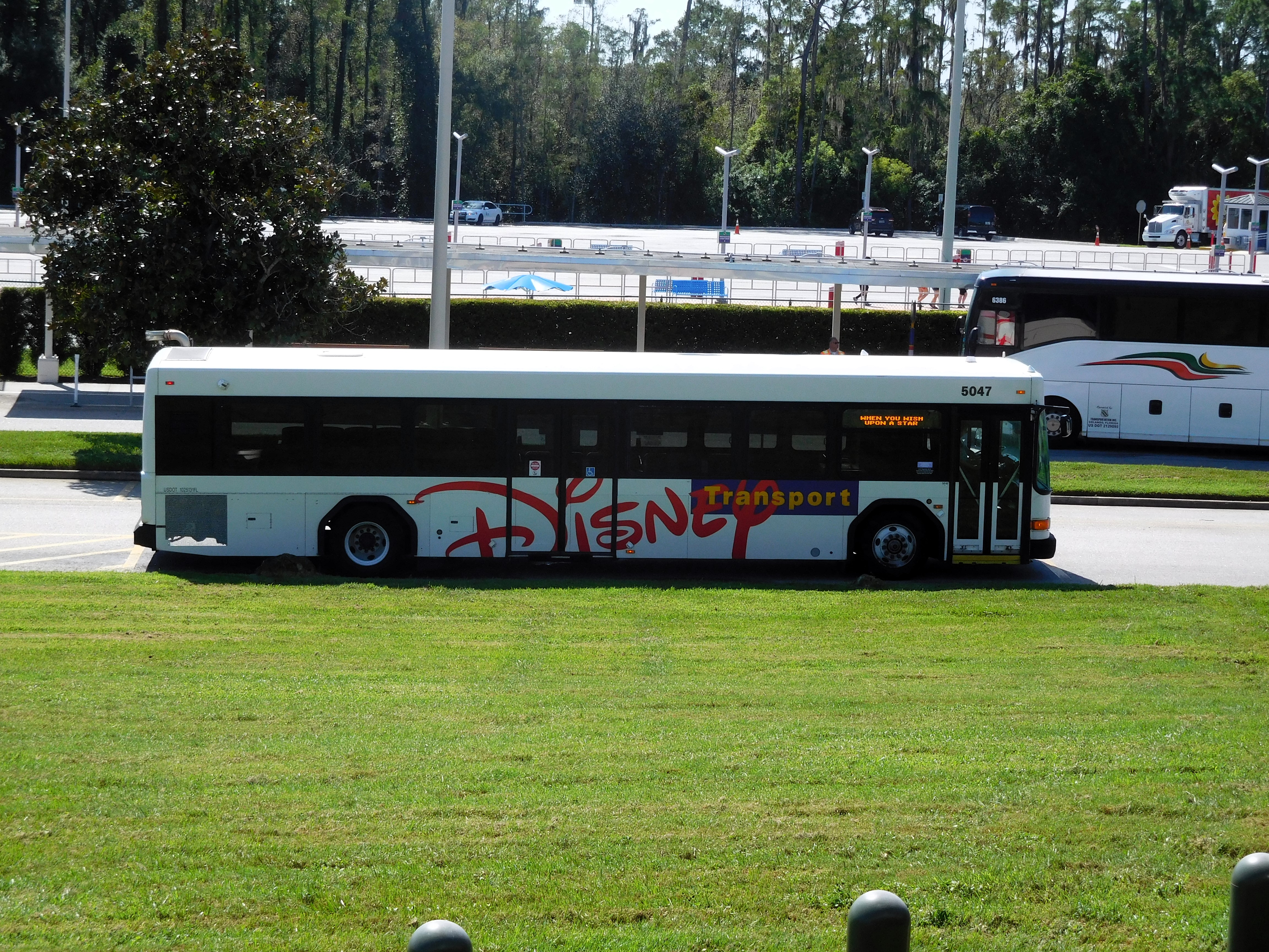 DSCN1026.jpg