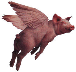 Pigs+Fly.jpg