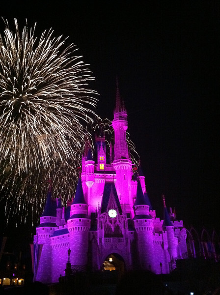 IMG2957-L.jpg