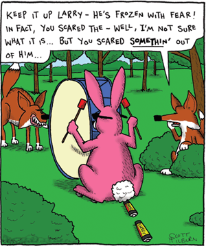 bunny.gif