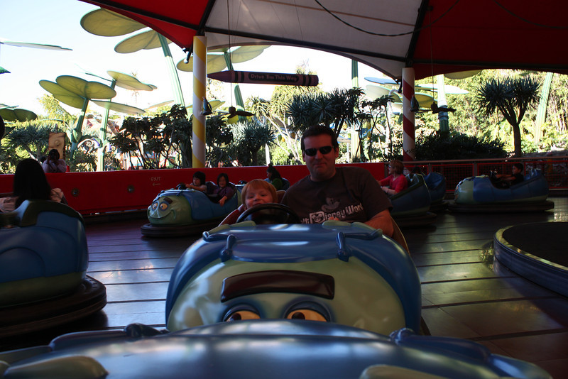 IMG0228-L.jpg
