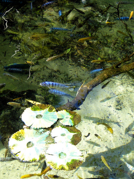 1065285159_rMGi9-L.jpg