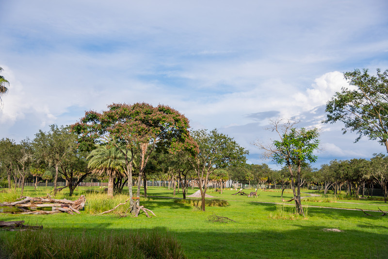 DSC_2072-L.jpg