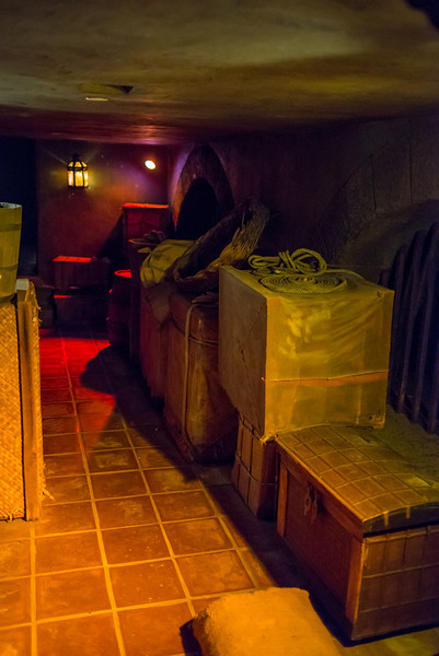 DSC_2547-L.jpg