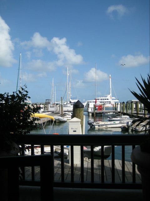 IMG_2415.jpg