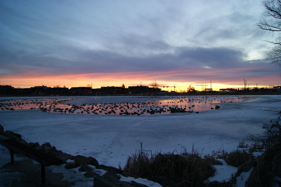 sunrise_by_bfoflcommish.jpg