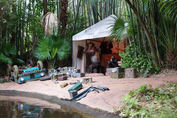 1096991534_TUirU-M.jpg
