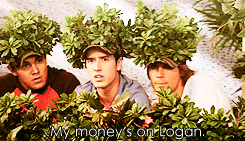 tumblr_lpqdz3DAiV1qf7phso3_r4_250.gif