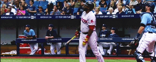 giphy.gif