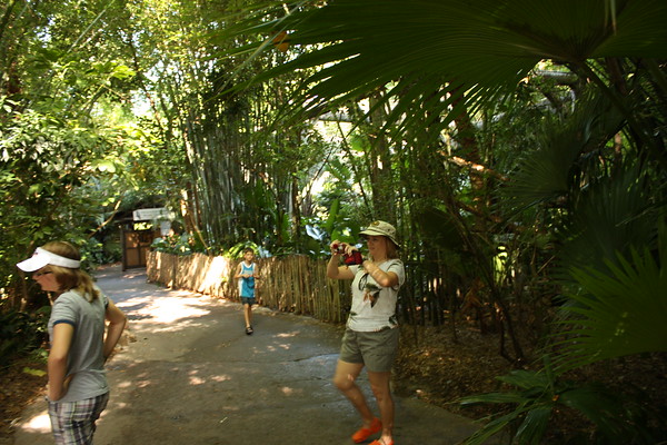 600643553_SmUmC-M.jpg