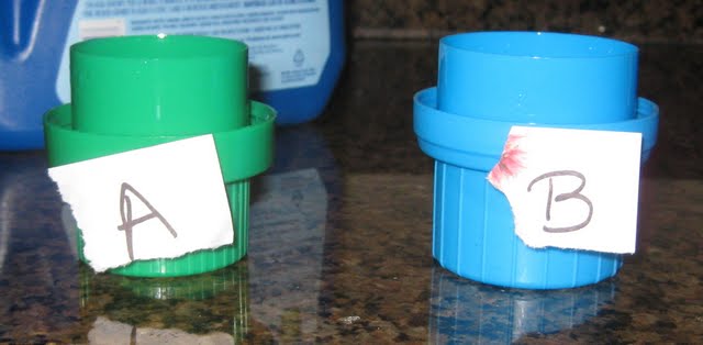 20110115_Purex_09.jpg