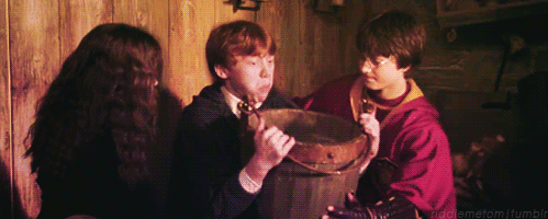 tumblr_ljx1o68RqN1qa8ir9o1_500.gif