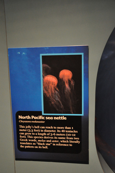 600372142_H5Cgy-L.jpg