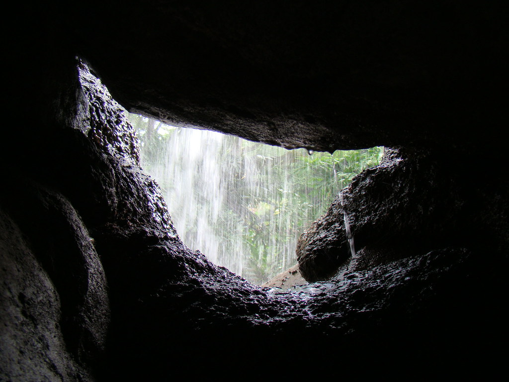 2489690823_555059f988_b.jpg