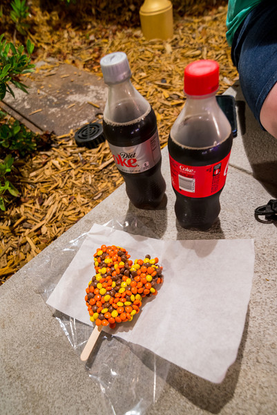 DSC_2429-L.jpg