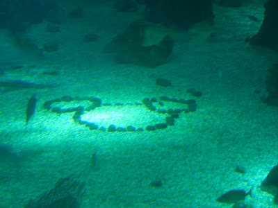 DSCN0939.JPG