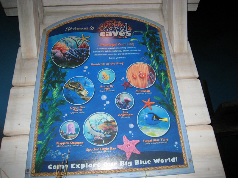 322560626_vUUvF-L.jpg