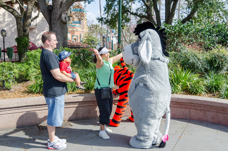 DSC1985-L.jpg