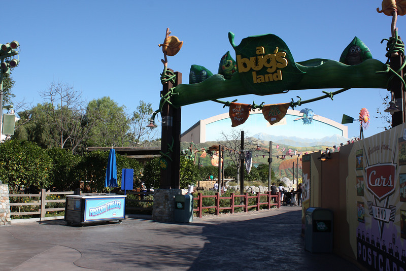 IMG9931-L.jpg