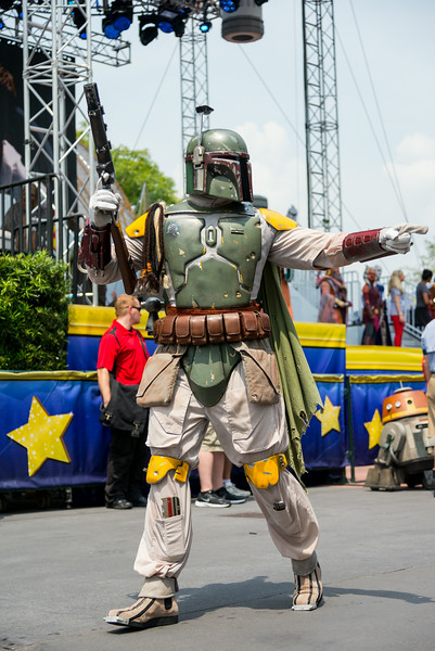 DSC_6372-L.jpg