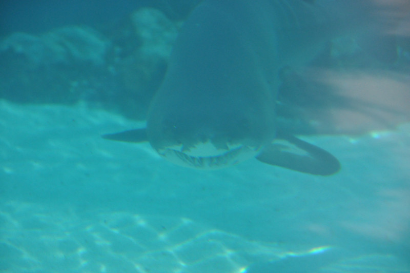 600335226_Td27W-L.jpg