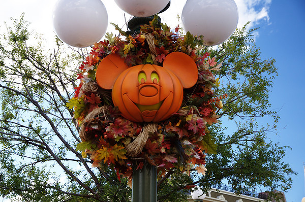 DSC6192-M.jpg