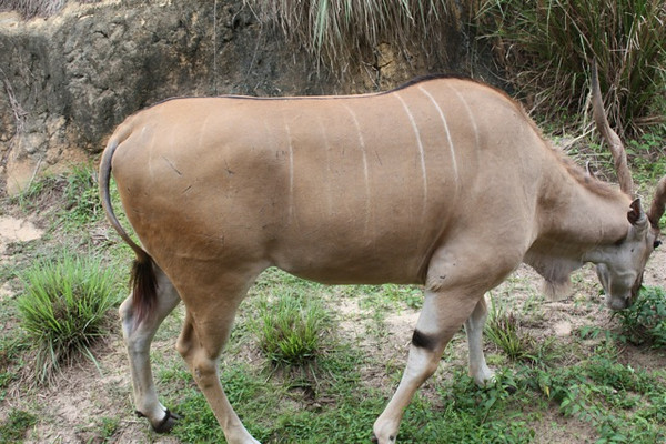 643606367_Naknh-M.jpg