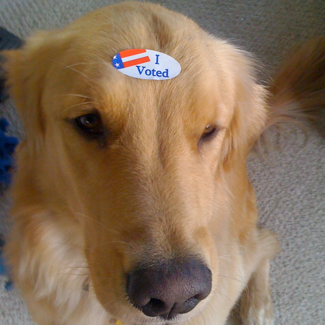 ivoted.jpg
