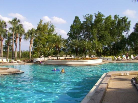 swimming-pool.jpg