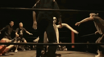 giphy.gif
