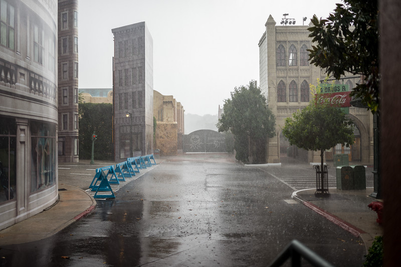 DSC_8984-L.jpg