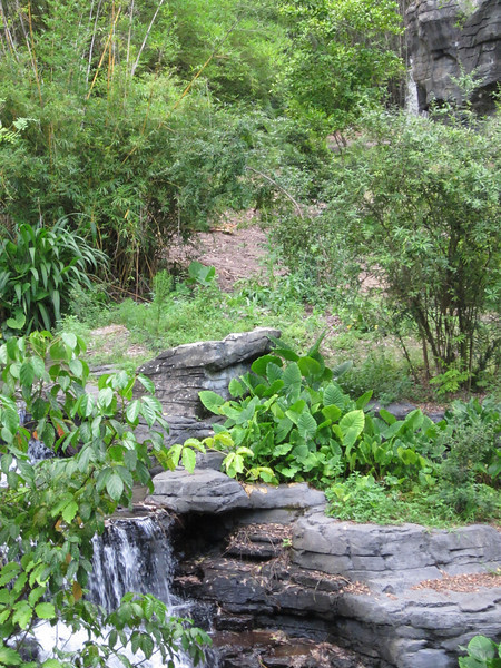 IMG0314-L.jpg