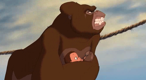 tumblr_lgjorgxRFh1qd5525o1_500.gif