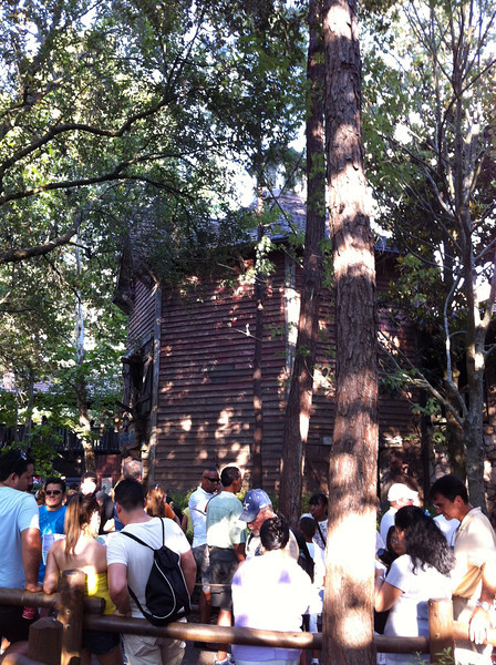 IMG2936-L.jpg
