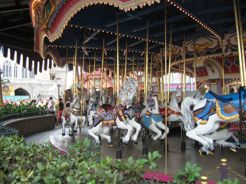 WDW%20144-L.jpg