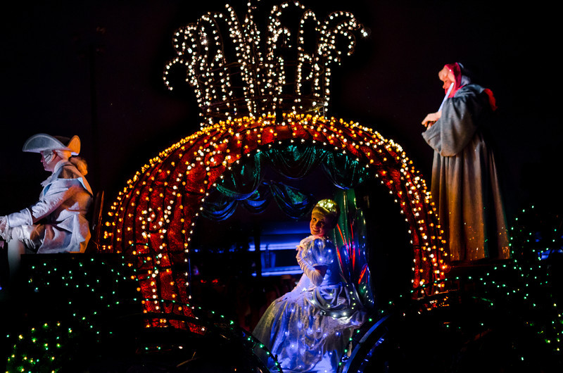 DSC1554-L.jpg