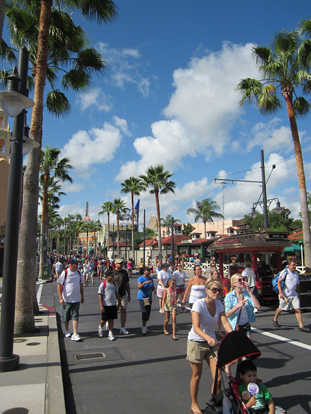 IMG0431-L.jpg