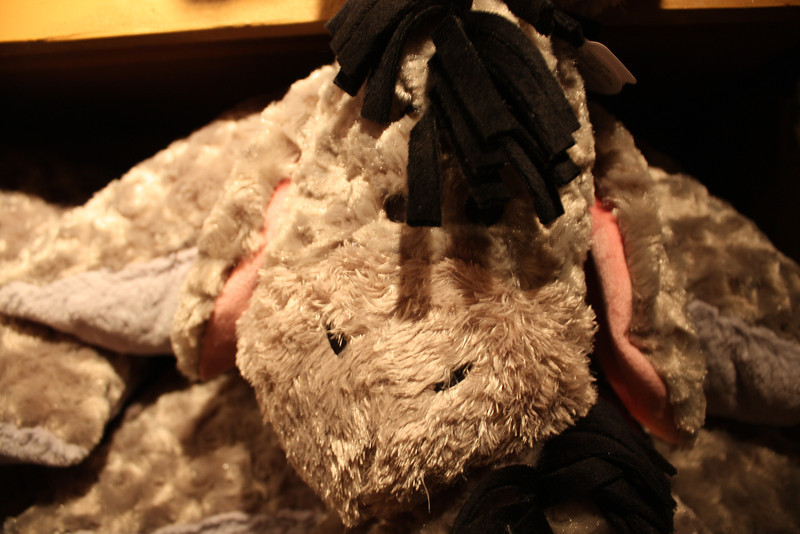 IMG9632-L.jpg