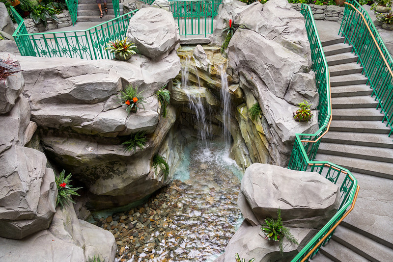DSC_2105-L.jpg