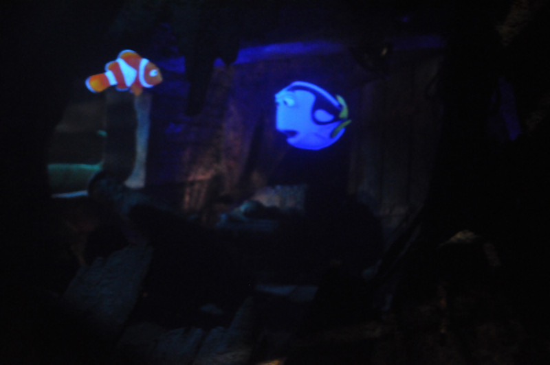 585399614_dBtM7-L.jpg