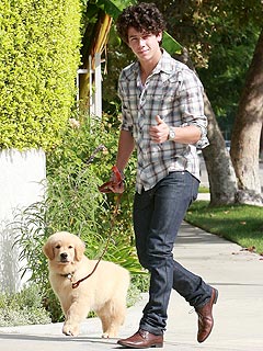 nick_jonas.jpg