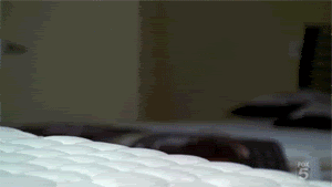 tumblr_lorh4wESQ41r056w5o1_400.gif