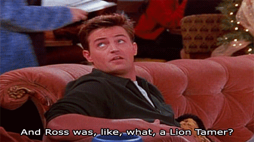 tumblr_lp1bhfwOOW1qchax1o2_500.gif