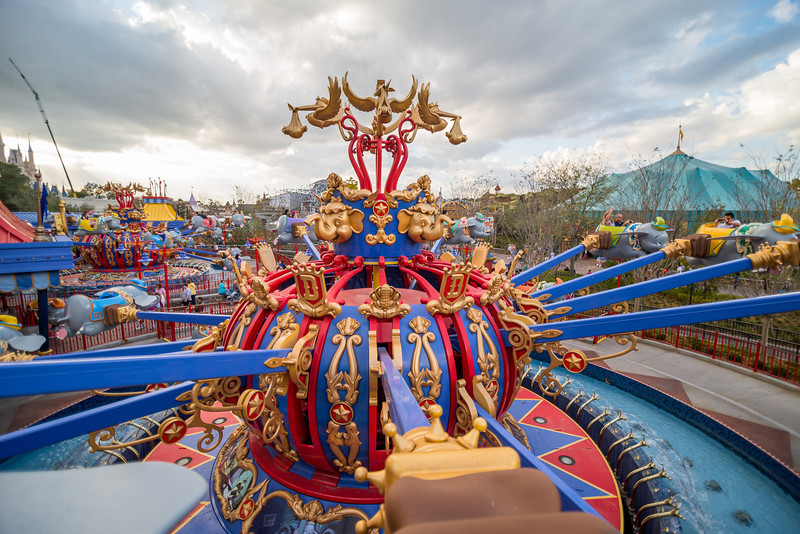 DSC_7308-L.jpg