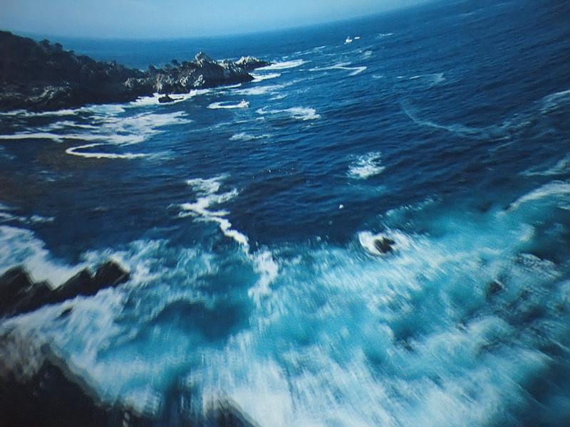 IMG8232ed-L.jpg