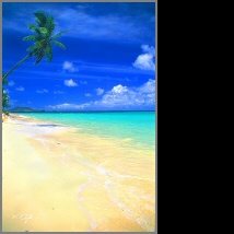 A24_Tropical%20Day_214.jpg