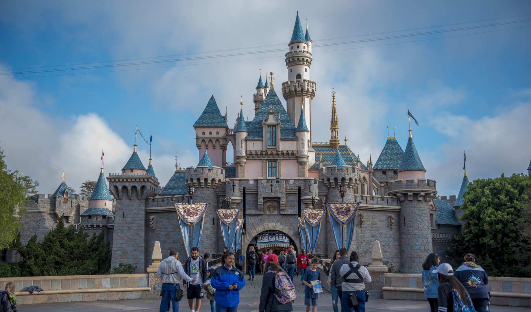 DSC_1709%20(Large).jpg